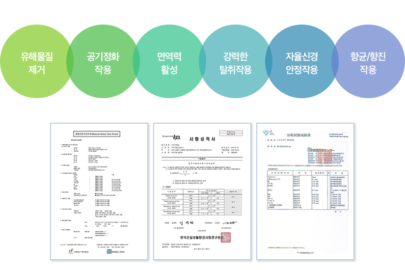 피톤치드 이미지