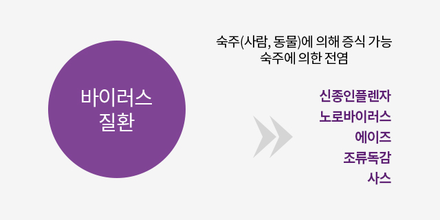세균의 피해 이미지