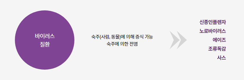 세균의 피해 이미지